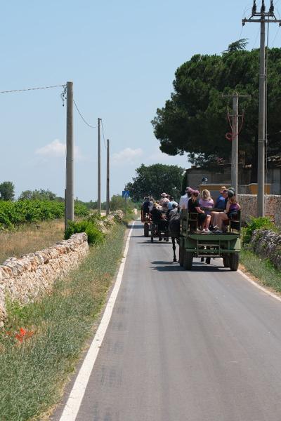 Alla scoperta del Distretto Sud Est Barese