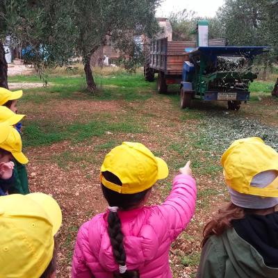 Fasano Agricoltura Biologica Alimentazione Sana Amica Ambiente Bambini
