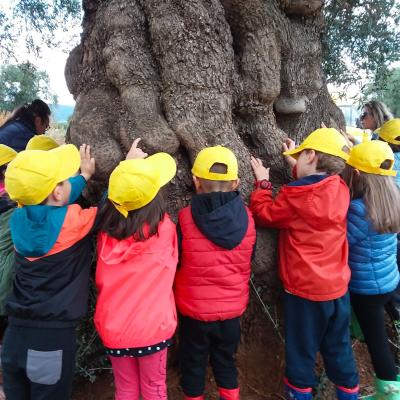 Fasano Agricoltura Biologica Alimentazione Sana Amica Ambiente Bambini