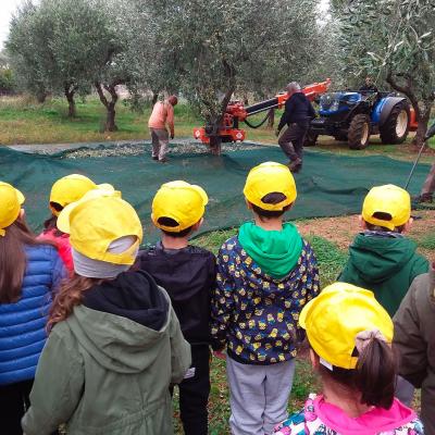 Fasano Agricoltura Biologica Alimentazione Sana Amica Ambiente Bambini