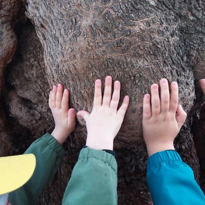 Fasano Agricoltura Biologica Alimentazione Sana Amica Ambiente Bambini