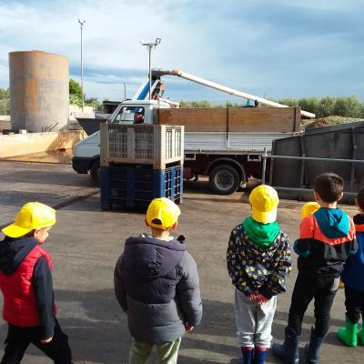 Fasano Agricoltura Biologica Alimentazione Sana Amica Ambiente Bambini